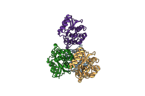 5HVI image