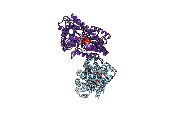 5HVM image