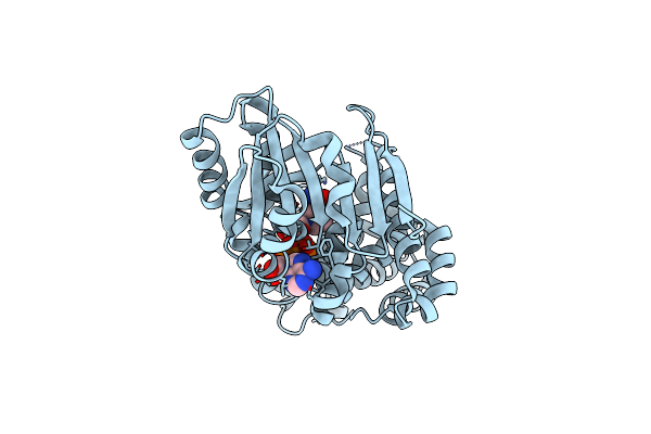 5HVN image