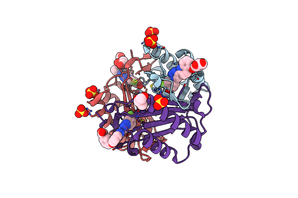 5HVS image