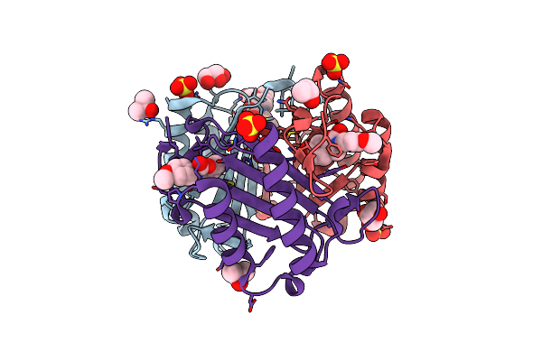 5HVT image