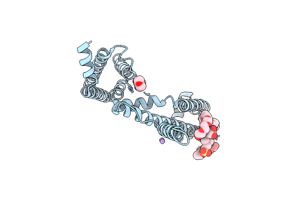 5HVX image