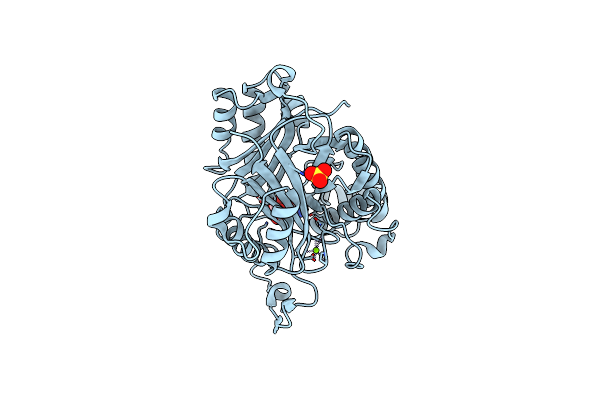 5HWE image