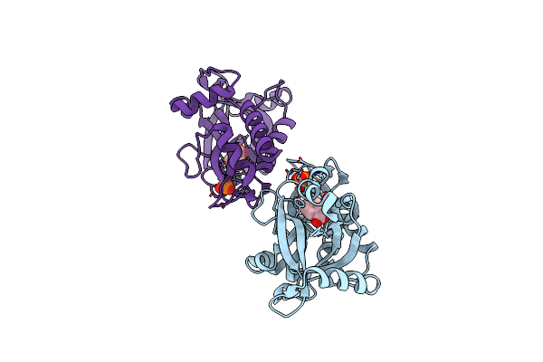 5HWK image