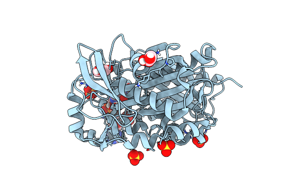 5HWR image