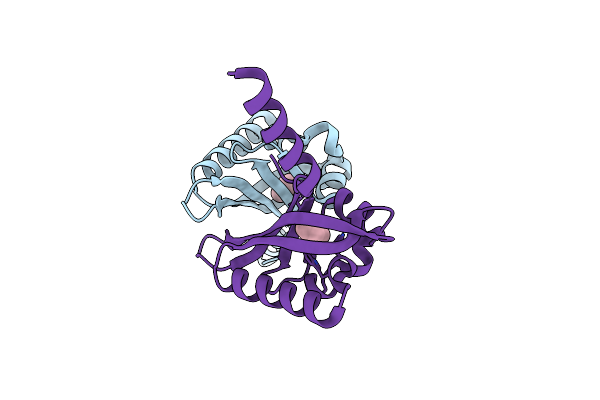 5HWV image