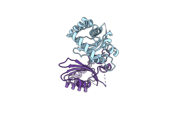 5HX4 image