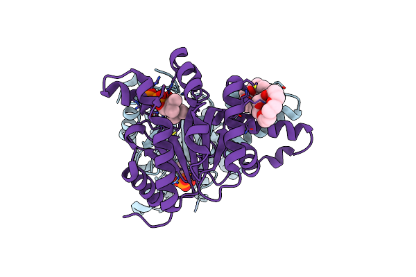 5HXP image