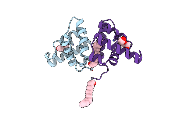5HYB image