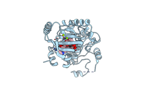 5HZE image