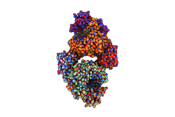 5HZG image