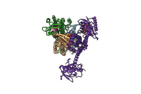 5HZK image