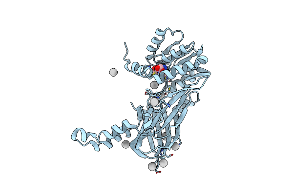 5HZM image