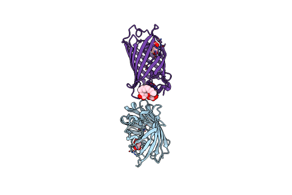 5HZO image
