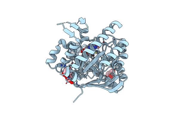 5I09 image