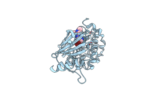 5I0B image