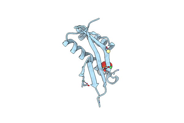5I0C image