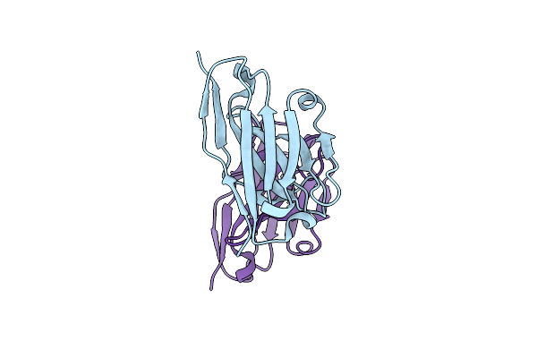 5I0Z image