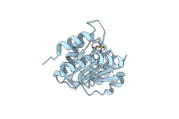 5I10 image