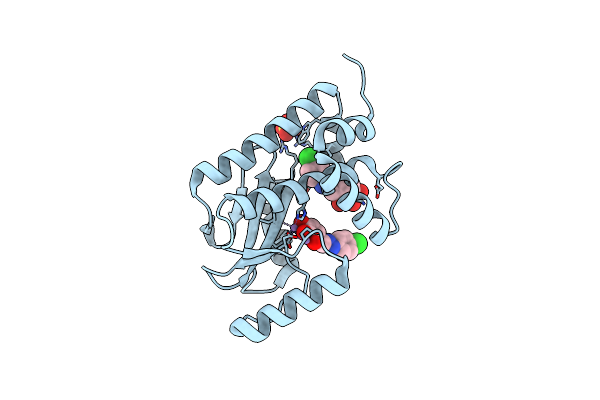5I13 image