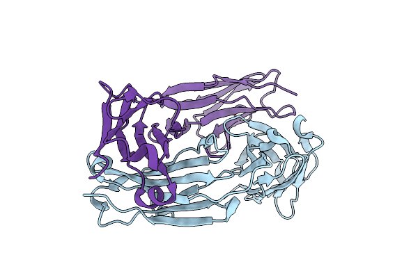 5I19 image
