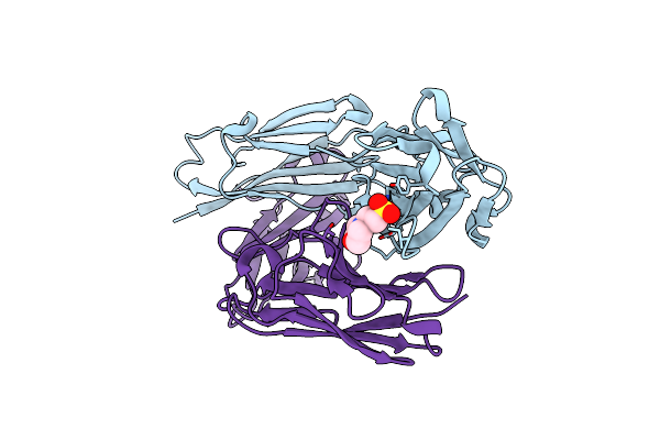 5I1C image