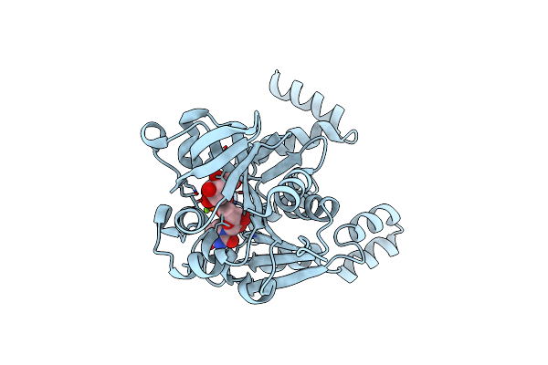 5I1F image