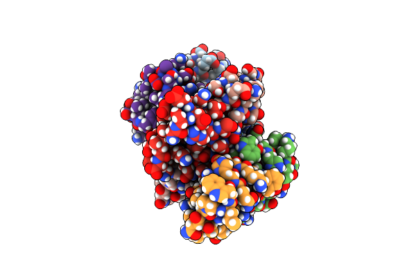 5I1N image