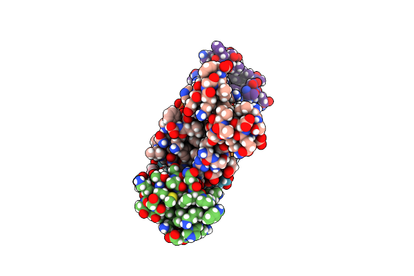 5I1P image