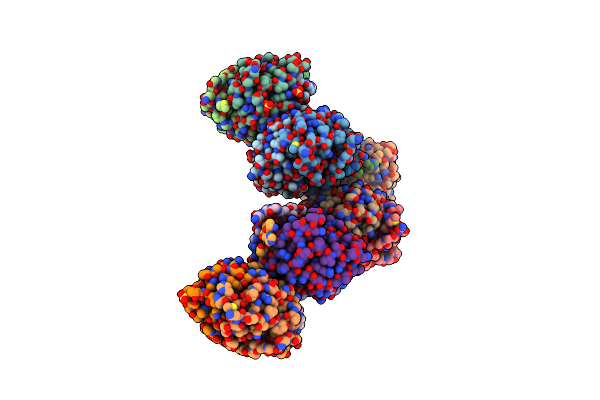 5I1Z image
