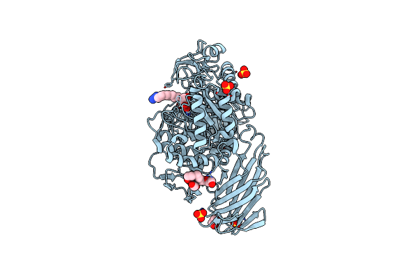 5I23 image