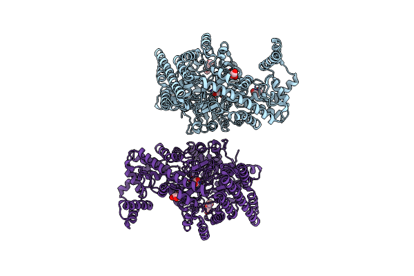 5I2A image