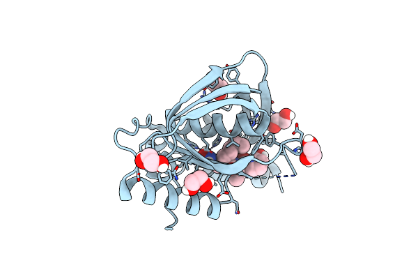 5I2B image