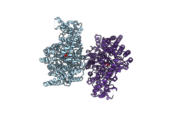 5I2G image