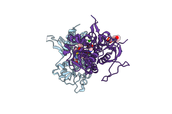 5I2N image