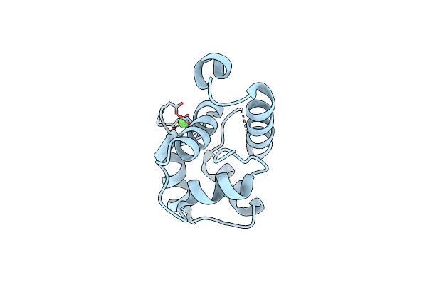 5I2O image
