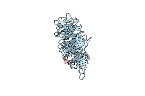 5I2T image