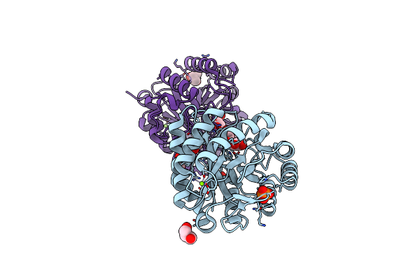 5I2U image