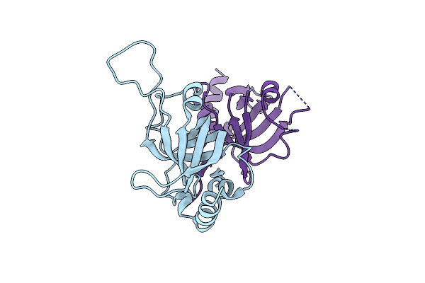 5I2X image
