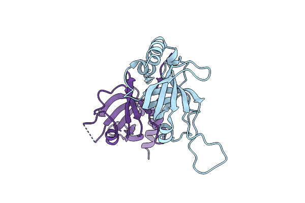 5I2Y image