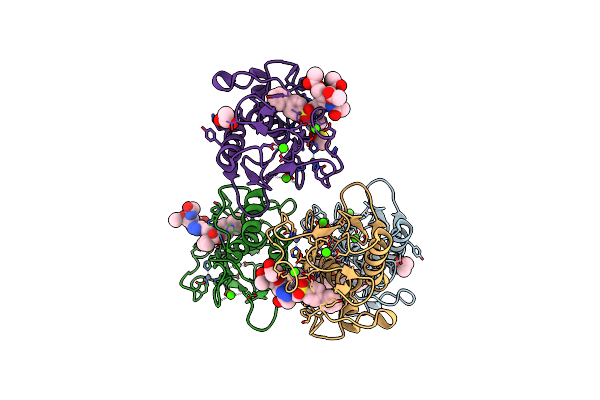 5I2Z image