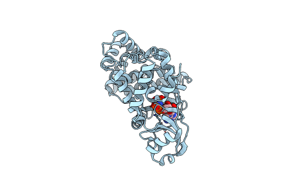 5I35 image