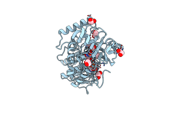 5I39 image