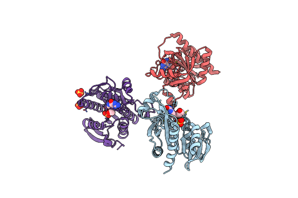5I3C image