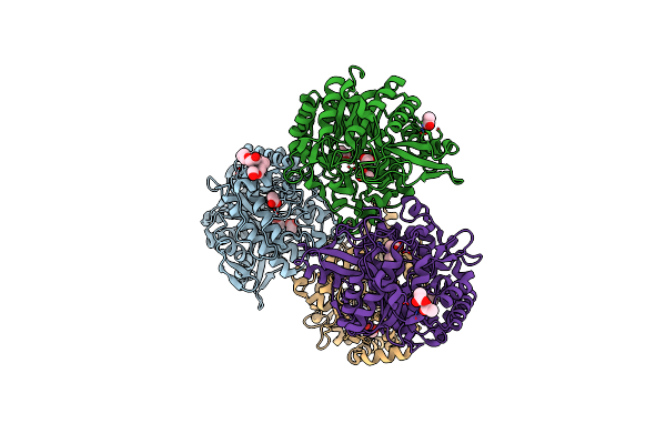 5I3D image