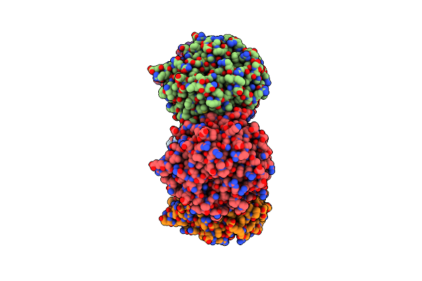 5I3T image