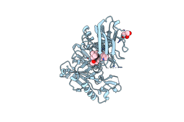 5I3V image