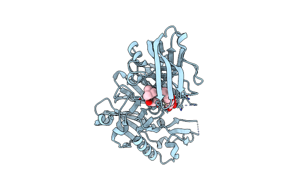 5I3X image