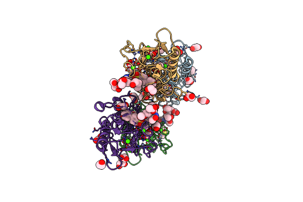 5I43 image