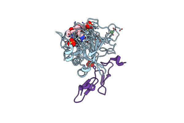 5I46 image